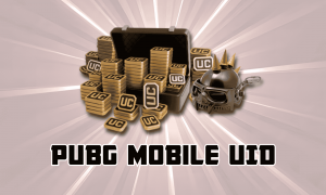 PUBG Mobile Uid